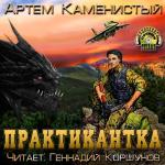 Каменистый Артем - Практикантка