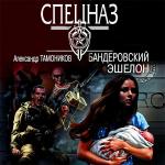 Тамоников Александр - Бандеровский эшелон