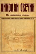 Свечин Николай - По остывшим следам