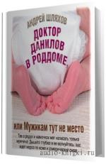 Шляхов Андрей.  Доктор Данилов в роддоме.