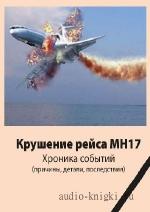 Доу  Джон  -  Крушение рейса МН17. Хроника событий