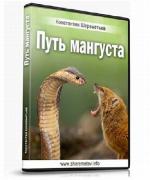 Константин Шереметьев. Путь Мангуста. Успех Благодаря Страху