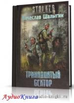 Шалыгин Вячеслав - Сталкер. Тринадцатый сектор